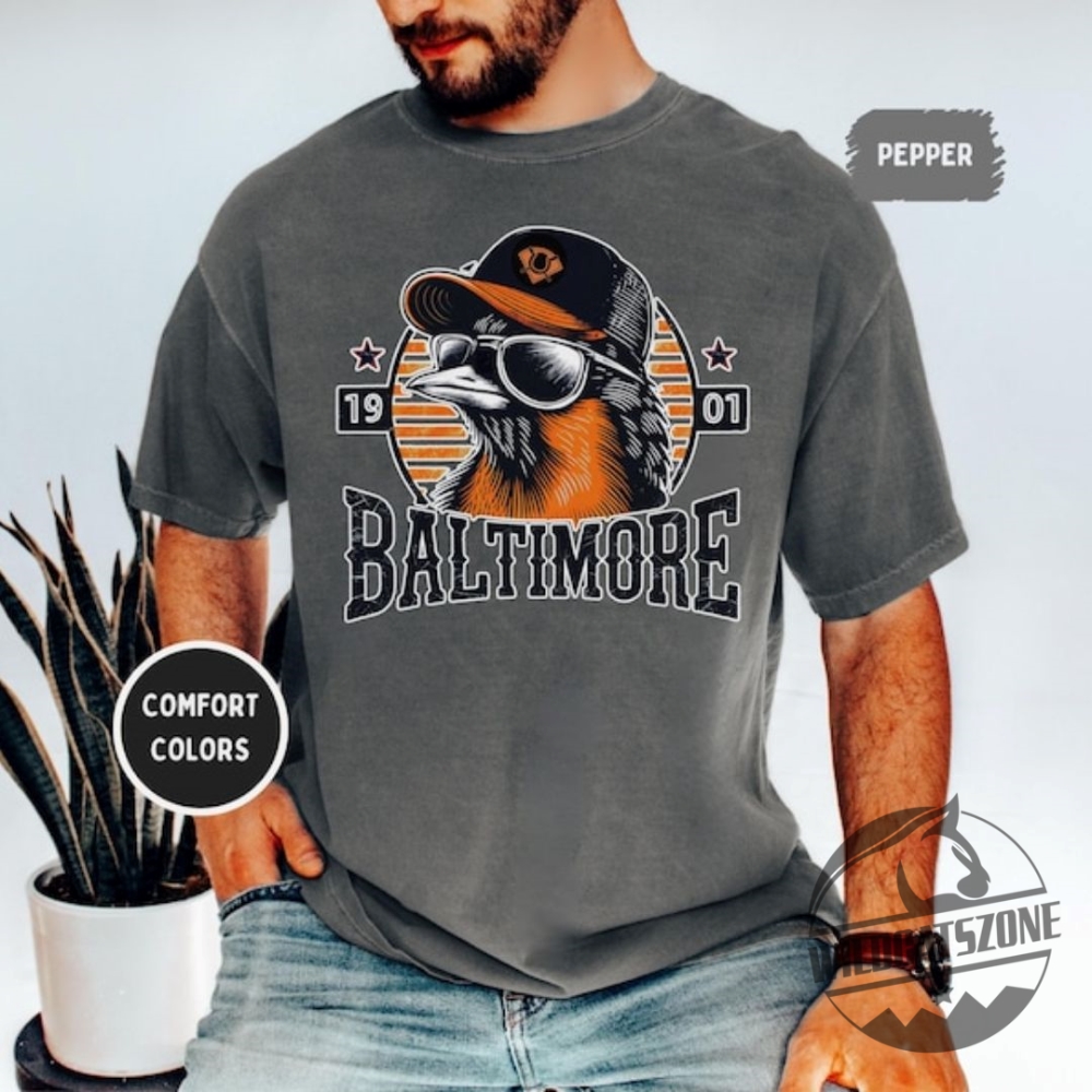 Baltimore Orioles T Shirt Fan Gift Sports Team Apparel Baseball Lover Tee Game Day Shirts Tee 3 Baltimore Orioles T Shirt Fan Gift Sports Team Apparel Baseball Lover Tee Game Day Shirts Tee