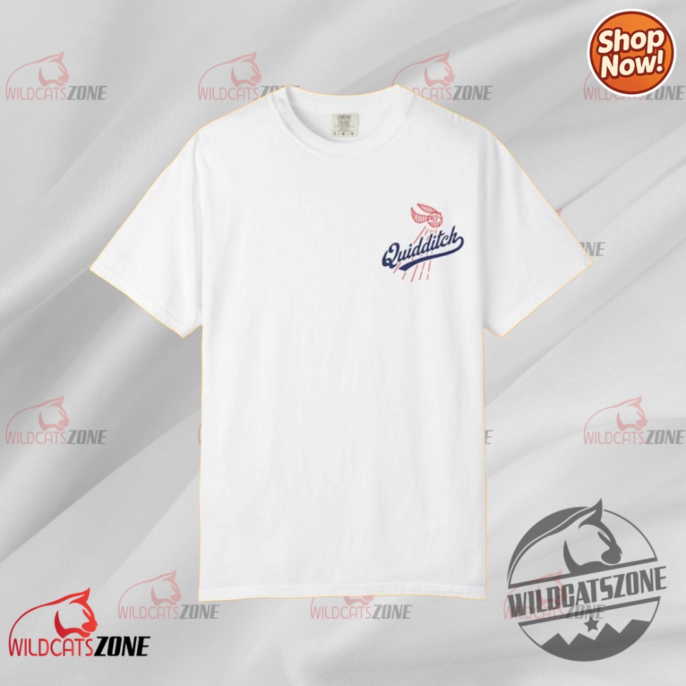 Quidditch Harry Potter And Los Angeles Dodgers 2 Sided Shirt Hoodie Sweatshirts Mlb 4 Quidditch Harry Potter And Los Angeles Dodgers 2 sided Shirt Hoodie Sweatshirts MLB